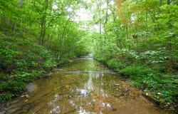 State Hwy 14, Drury, MO 65638