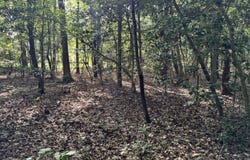 Alton Road, Eagle Springs, NC 27242