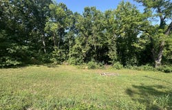 505 S Aid Avenue, West Plains, MO 65775