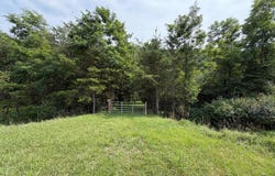 3.12 AC Lot 2 UPPER SKAGGS RUN RD, BAKER, WV 26801
