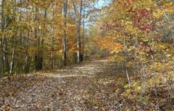1237I High Rock Road, Stanton, KY 40380