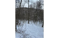 Spring Run Rd, Butler, PA 16001