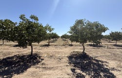 Road 30, Alpaugh, CA 93201