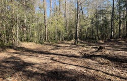 Highway 21, Monroeville, AL 36460