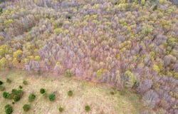 L20 Hakes Calhoun Road, Pitcher, NY 13136