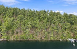 North Shore Road lot: 51, New Durham, NH 03855