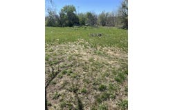 2312 Main Blvd, Brownwood, TX 76801