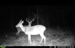 Ms-25, Brandon, MS 39047