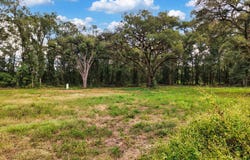 590 NW 20th Ave, Bell, FL 32619