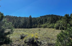 Thomas Trail, Canon City, CO 81212