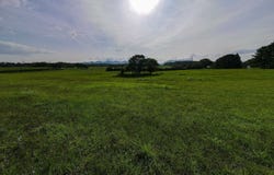 MARCUS ST, SHENANDOAH, VA 22849