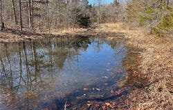 County Rd 972, Alpena, AR 72611
