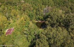 Allen Lane, Magnolia, MS 39652
