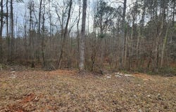 Monument Road, Pine Mountain, GA 31833