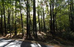 BATTLE POINT RD lot: E2, JAMESVILLE, VA 23398