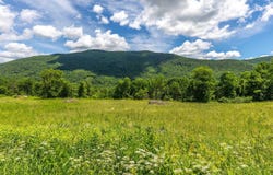 1174 N Main Street, Danby, VT 05739