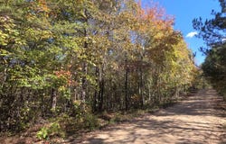 County Rd 3022, Double Springs, AL 35553