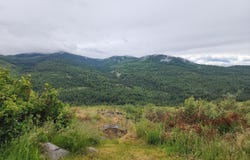 140 LAMBERT MOUNTAIN Rd, REPUBLIC, WA 99166