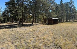 TBD Bald Mountain Dr, Livermore, CO 80536
