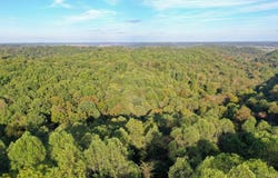 1285 Nelson Road, Jefferson Twp, OH 45648