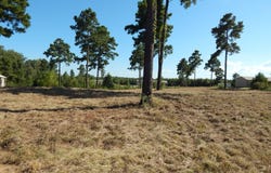 Joy Ave., Many, LA 71449