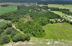0080012 Old Lucile Rd, Blakely, GA 39823