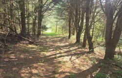 0wp Warren Rd, New Berlin, NY 13411