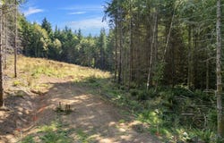 THIMBLEBERRY Dr, CastleRock, WA 98611