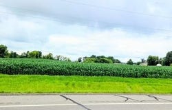 398 E Pike Street, Osakis, MN 56360