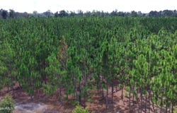 E Lucy Berge Road E, Hazlehurst, GA 31539