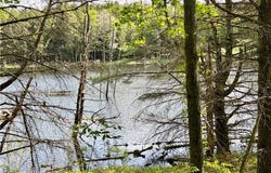 Maples Road, Milford, NY 13348