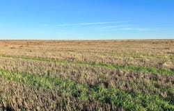 County Road J, Brewster, KS 67732