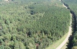Brooksville Rd, MS 39339