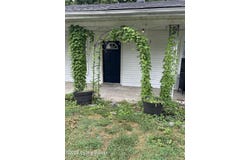 155 N 2nd St, Campbellsburg, KY 40011