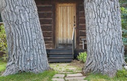 8025 BASELINE ROAD, Victor, ID 83455