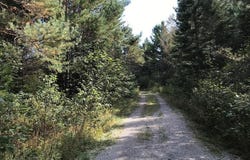 1570 Ryno Road, Luzerne, MI 48636