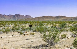 300 LTM Rd, Terlingua, TX 79852