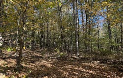 Ross Hill Road, Saint Albans, ME 04971