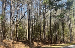 119 & 121 Osage Drive, Louisburg, NC 27549