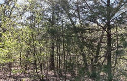 Gumbo Woods lot: #94, Shell Knob, MO 65747