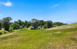 Highway 79 lot: 1, Sturgis, SD 57785