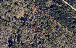 Burnt Fort, Folkston, GA 31537