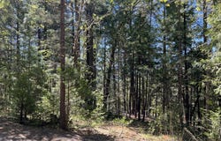00347 Flounce Rock Rd, Prospect, OR 97536
