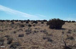 Parcel 107-52-046, Concho, AZ 85924