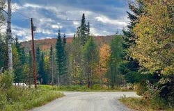 Doe Path lot: 12, Rangeley, ME 04970