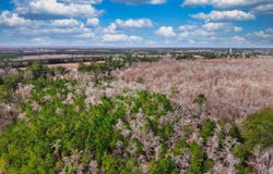 Mishoe Rd., Bucksport, SC 29527