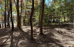 2150 New Corinth Rd, Rutledge, TN 37861