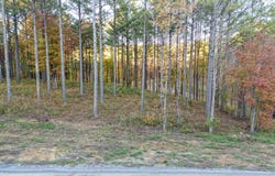 Split Rail Way lot: , Lot 1127, Guild, TN 37340