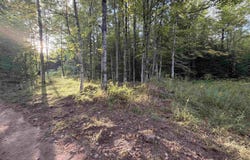 TBD Harborview Lot 21 Drive, Munising, MI 49862