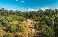 20 acres, Old Highway 66, Rolla, MO 65401